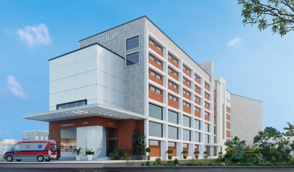 New Project - 2025-10-30T182027.312